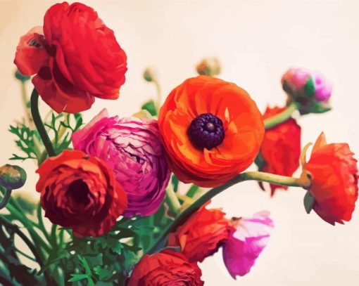 Ranunculus Flowers paint by number