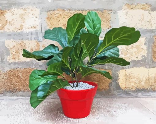 Red Plant Pot Fiddle Leaf Fig paint by number