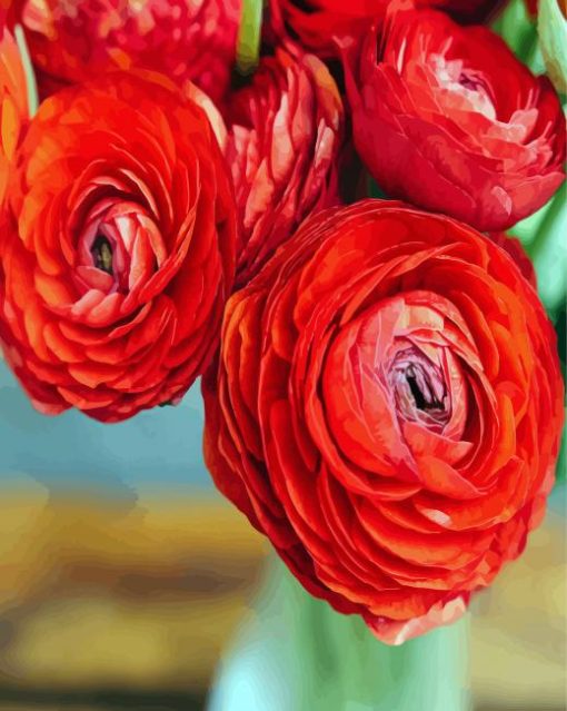 Red Ranunculus paint by number