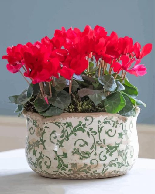 Red Cyclamen Vase paint by number