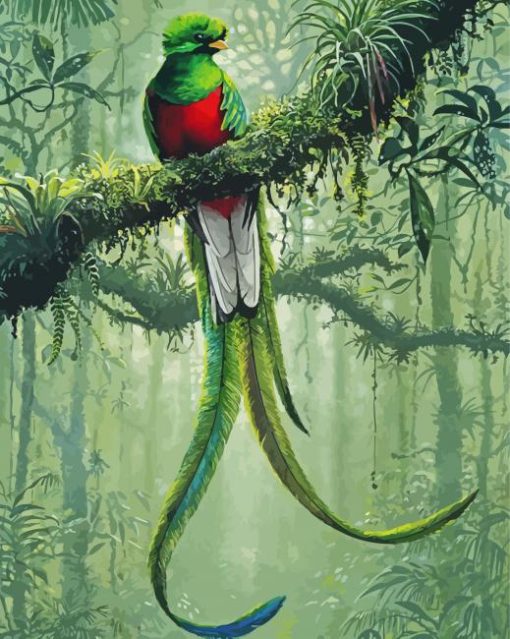 Resplendent Quetzal paint by numbers