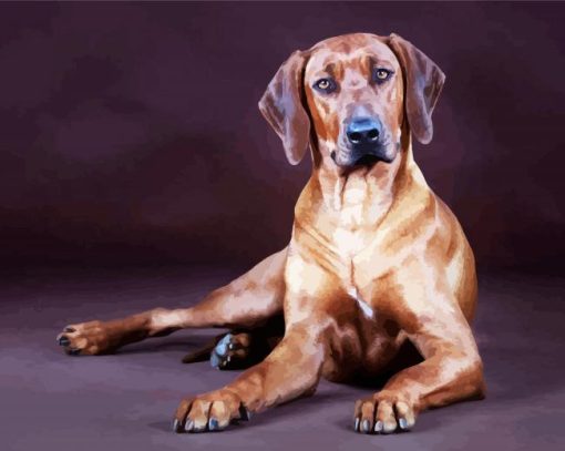 Rhodesian Ridgeback Back Dog paint by numbers