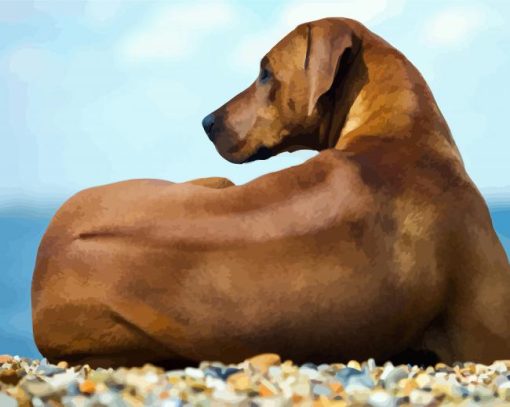 Rhodesian Ridgeback Dog Sitting paint by numbers