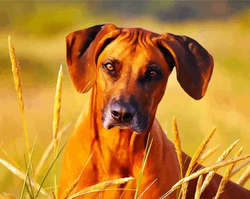 Rhodesian Ridgeback Face paint by number