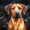 Rhodesian Ridgeback Head paint by number