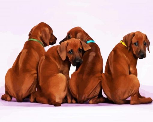 Rhodesian Ridgeback Puppies paint by number