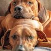 Ridgeback Puppies paint by number