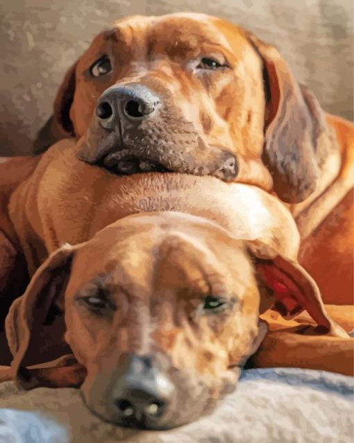 Ridgeback Puppies paint by number