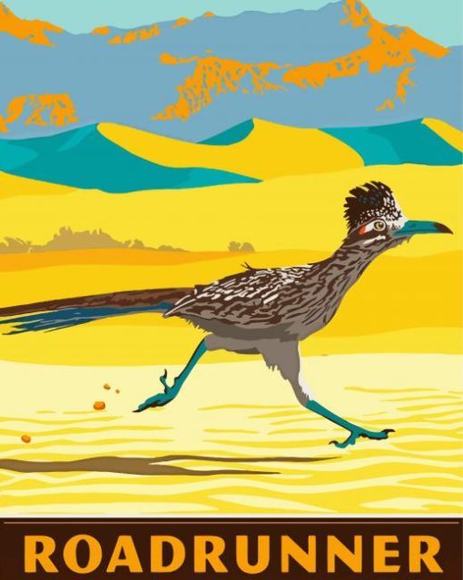 Roadrunner Illustration paint by numbers