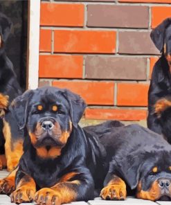 Rottweiler Family paint by numbers