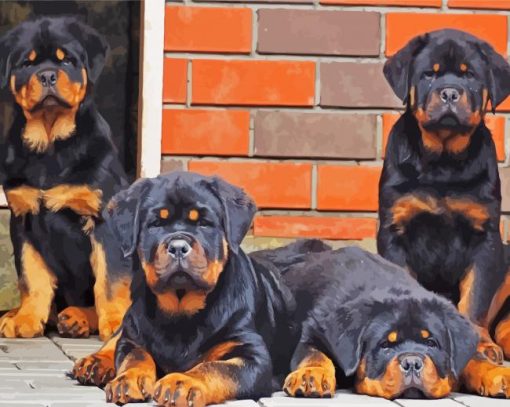 Rottweiler Family paint by numbers