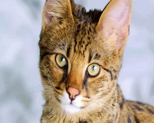 Savannah Cat Face paint by number