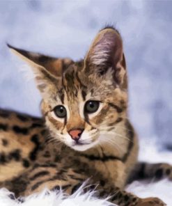 Savannah Cat paint by number