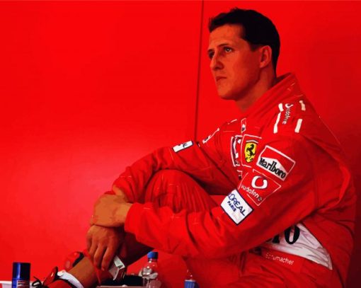 Schumacher paint by numbers