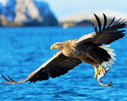 Sea Eagle Bird paint by number