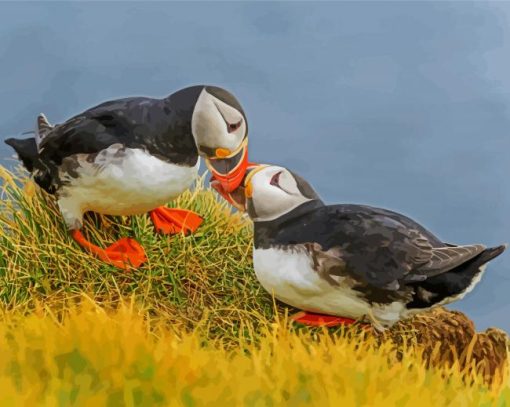 Seabirds paint by numbers