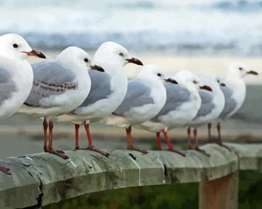 Seagulls Row paint by numbers