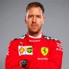 Sebastian Vettel paint by number