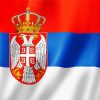 Serbia State Flag paint by numbers