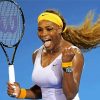 Serena Williams Tennis Player paint by numbers