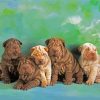 Shar Pei Puppies paint by numbers