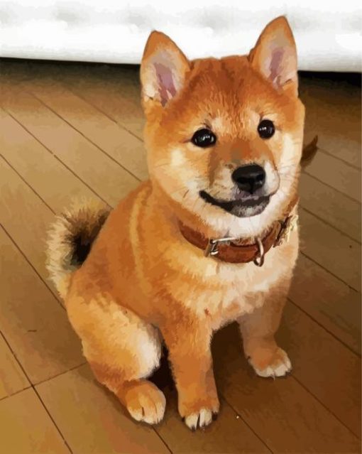 Shiba Inu Baby Puppy paint by numbers