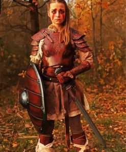 Shieldmaiden paint by numbers