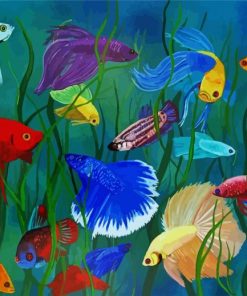 Siamese Fighting Fish paint by number