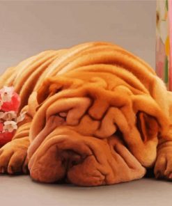 Sleepy Sharpei paint by number