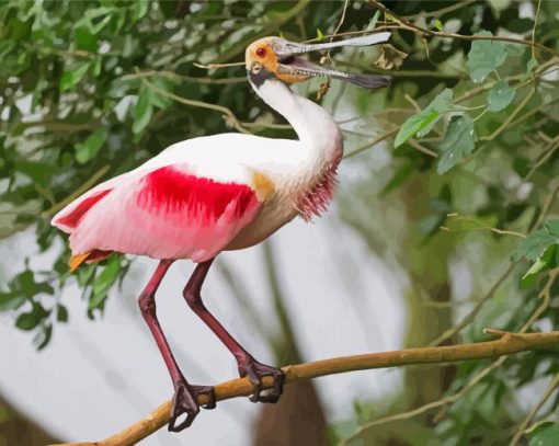 Spoonbill Bird paint by numbers