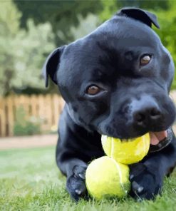 Staffordshire Bull Terrier With Tennis Balls paint by number