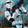 Star Wars Stormtrooper paint by numbers