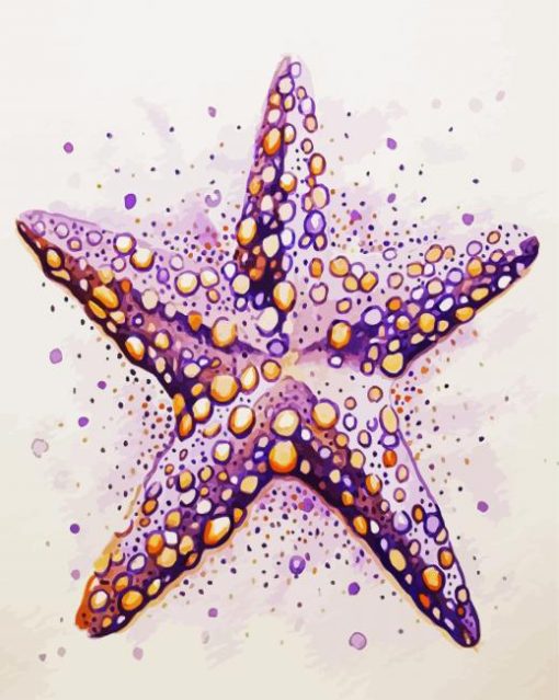 Starfishes paint by number