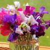 Sweetpea In Glass Vase paint by number