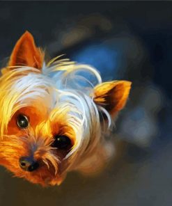 Teacup Yorkshire Terrier paint by number