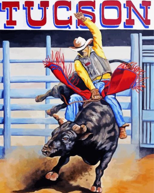 The Bull Rider paint by numbers