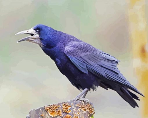 The Rook Bird paint by number