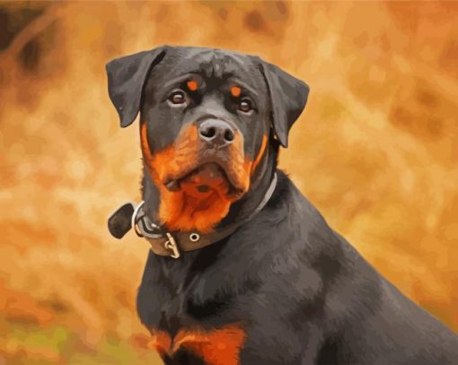 The Rottweiler Dog paint by number