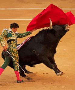 The Spanish Bullfighter paint by number