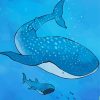 The Whale Shark paint by number