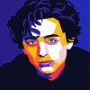 Timothee Chalamet Pop Art paint by number