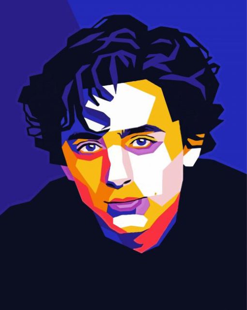 Timothee Chalamet Pop Art paint by number