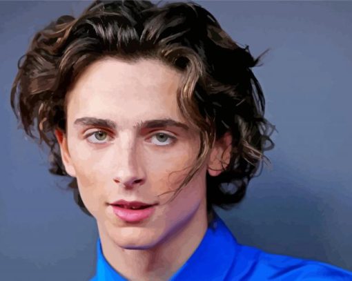 Timothee Chalamet paint by number