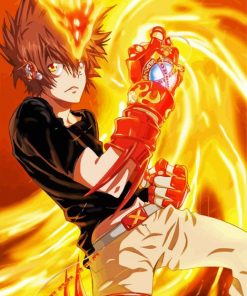 Tsunayoshi Sawada Reborn Anime paint by number