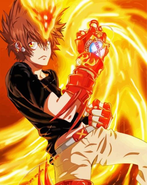 Tsunayoshi Sawada Reborn Anime paint by number