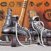 Vintage Ice Skates paint by number