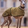 Whippet Pet paint by number