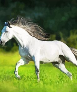 White Andalusian Horse Running paint by numbers