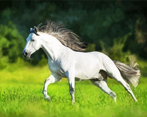 White Andalusian Horse Running paint by numbers