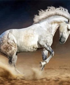 White Andalusian Horse paint by numbers